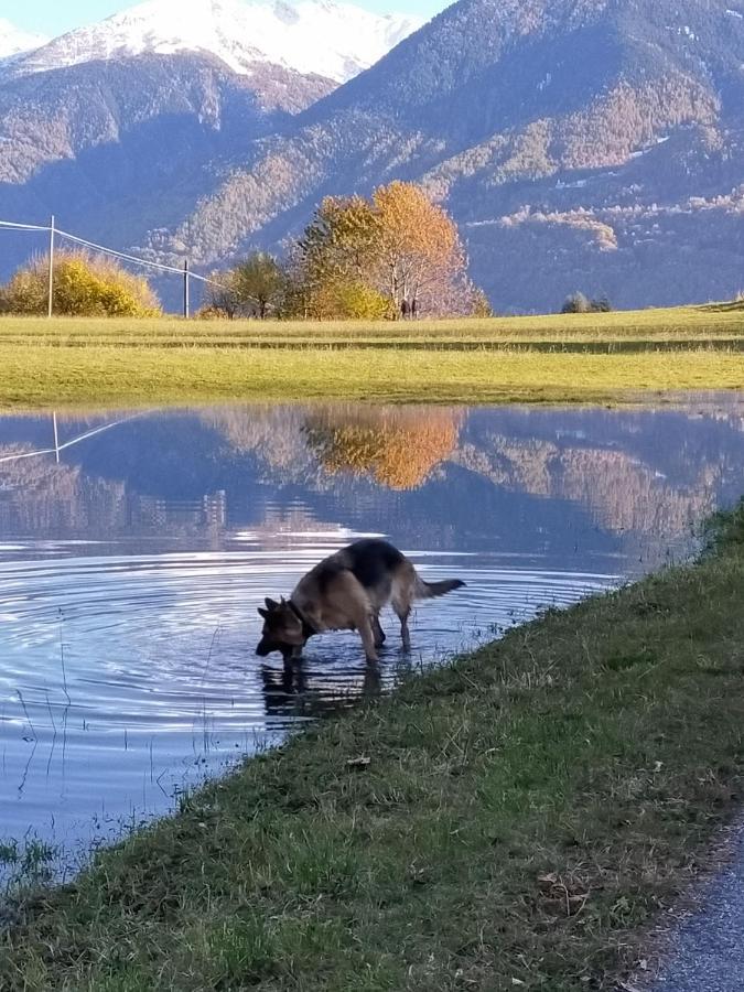 Casa Vacanza Da Ghislin Teglio Exteriör bild
