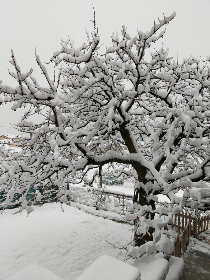 Casa Vacanza Da Ghislin Teglio Exteriör bild