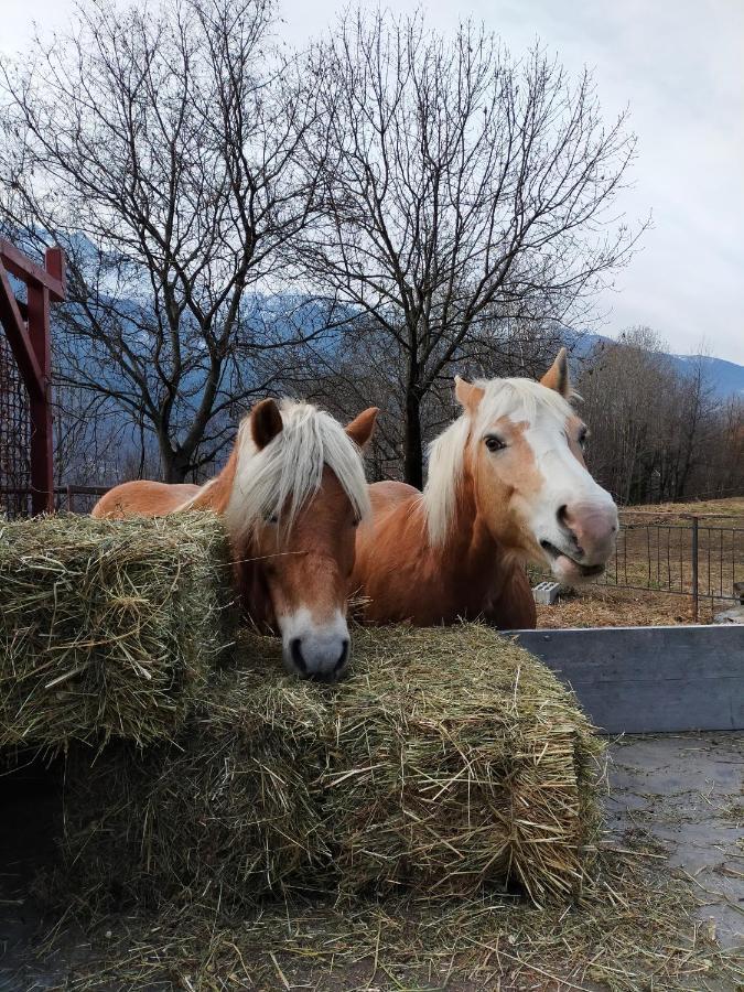 Casa Vacanza Da Ghislin Teglio Exteriör bild